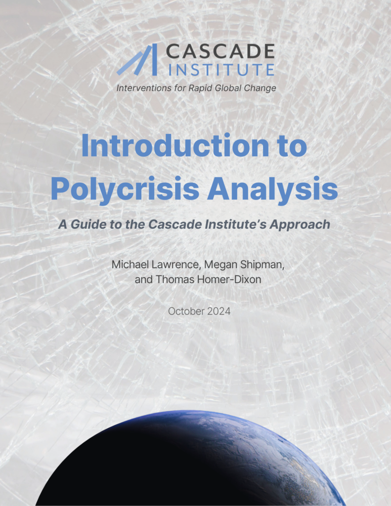 Introduction to Polycrisis Analysis Cover