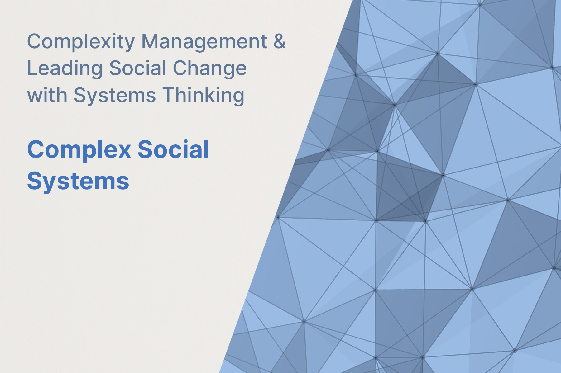 Complexity curricula video 5: Complex social systems - Cascade Institute