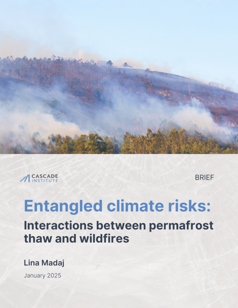 Entangled Climate risks brief