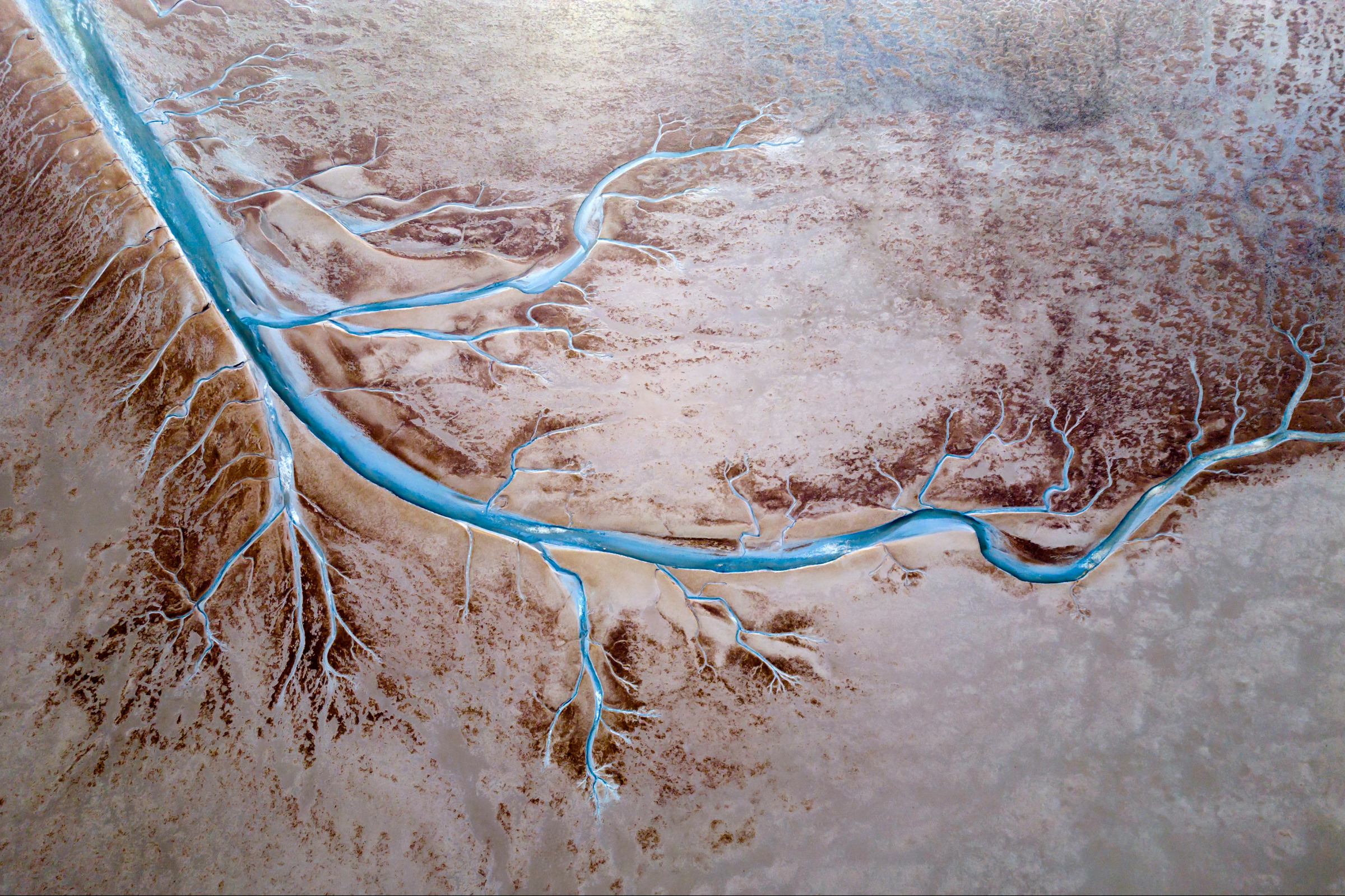 Aerial view of the tidal channels showing a fractal like structure, The Netherlands. Corlaffra, Adobe Stock.