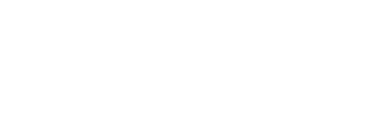 Cortico-v2-PS1200
