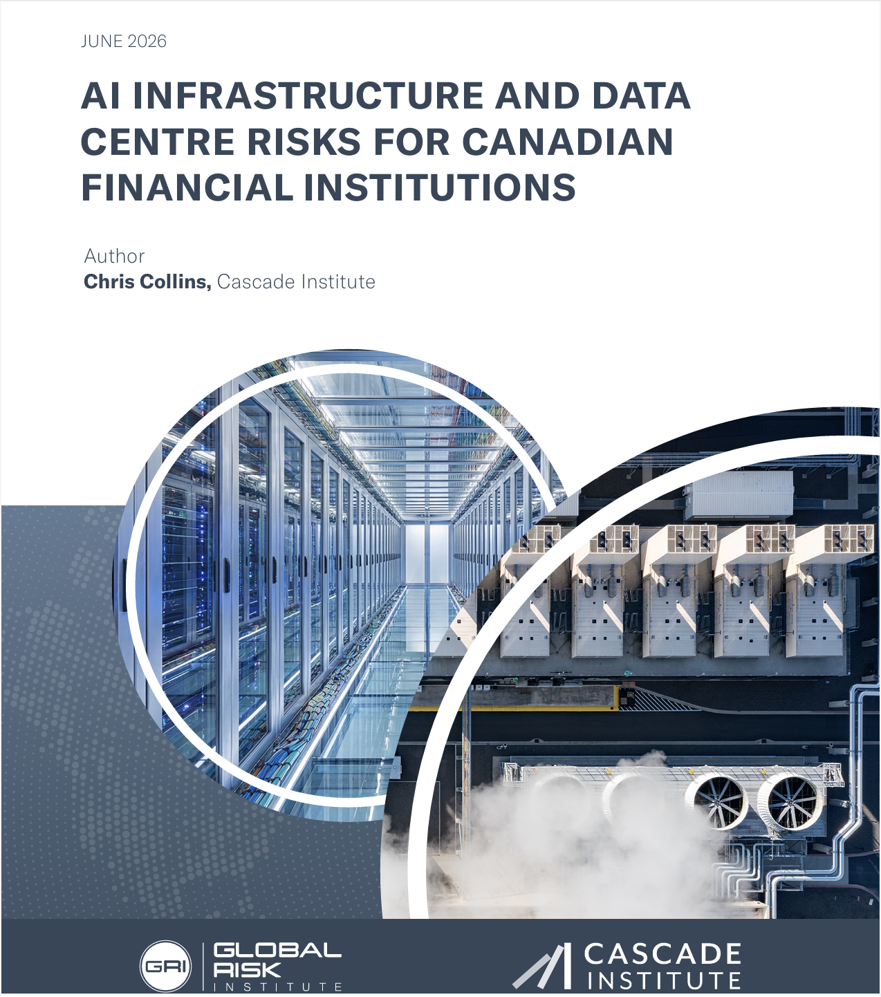 AI RISK cover photo